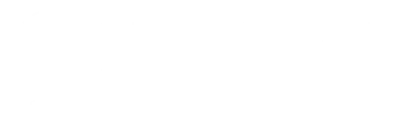 Privilege Sicherheitsdienste